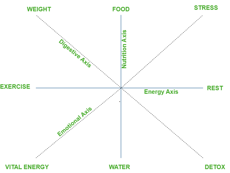 8-Point Longevity Model